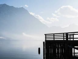 Carpool — Downtown Daily #164 - image 3