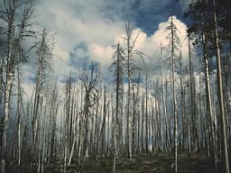 Volunteer Needed — Food Bank #194 - image 1