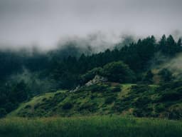 Found Keys — Near Central Park #215 - image 3