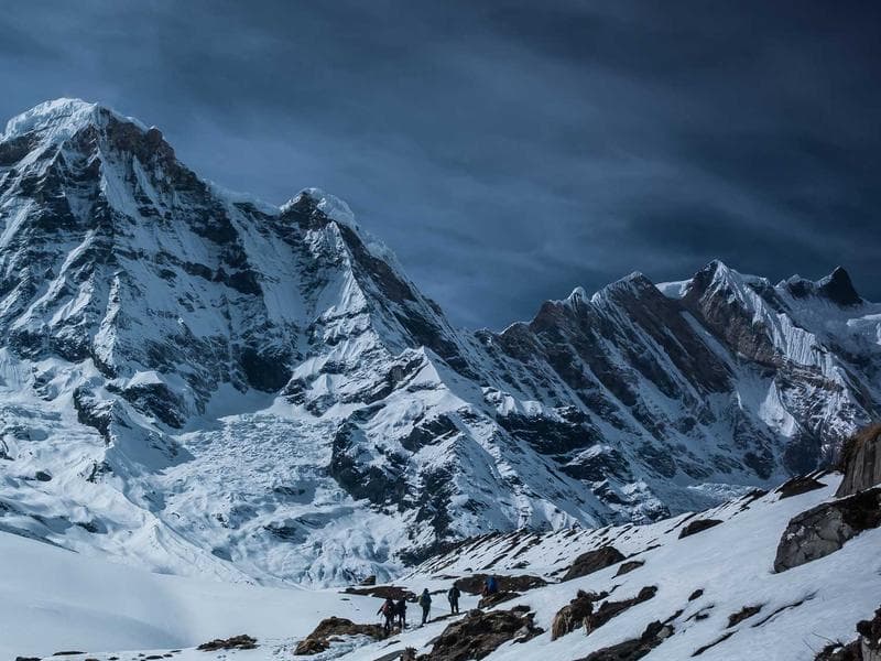 Tax Filing — Individual & Business #56