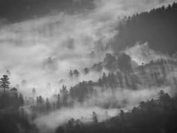 Furniture Assembly — IKEA #404 - image 2