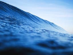 Luxury Catering #509 - image 2