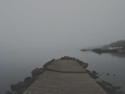 Like New Free Yoga Class #515 - image 3