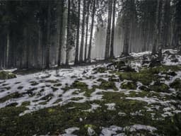 Villa — 4 Bedrooms with Garden #63 - image 1