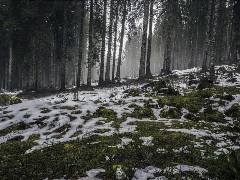 Villa — 4 Bedrooms with Garden #63