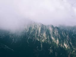 Limited Edition Business Analyst #530 - image 1