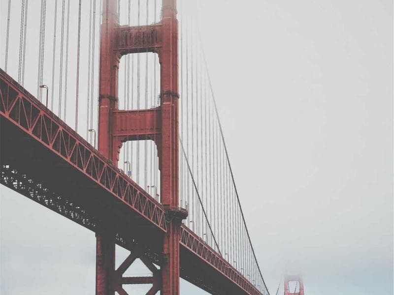 Luxury Web Development #548