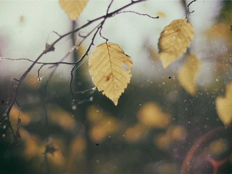 Barely Used Plumbing #549