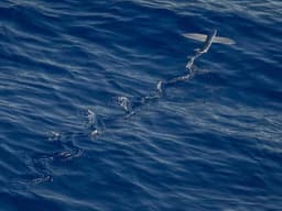 Mid-Range Interior Design #563 - image 3