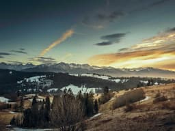 Luxury Fender Guitar #585 - image 2