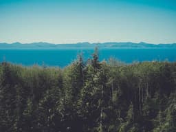 Original KitchenAid Mixer #605 - image 2