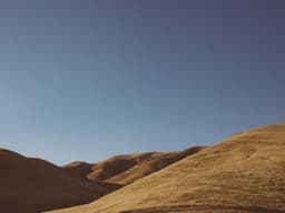 Original Office Chair #622 - image 2