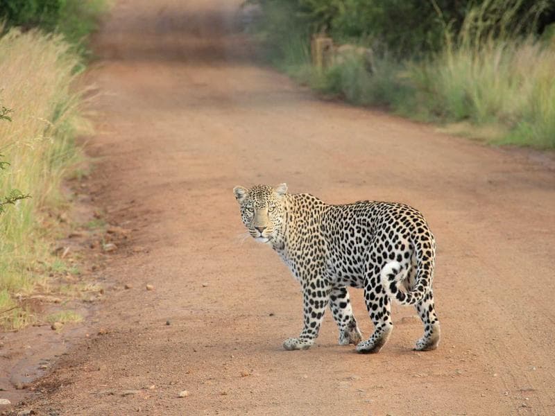 Great Farm House Rental #635