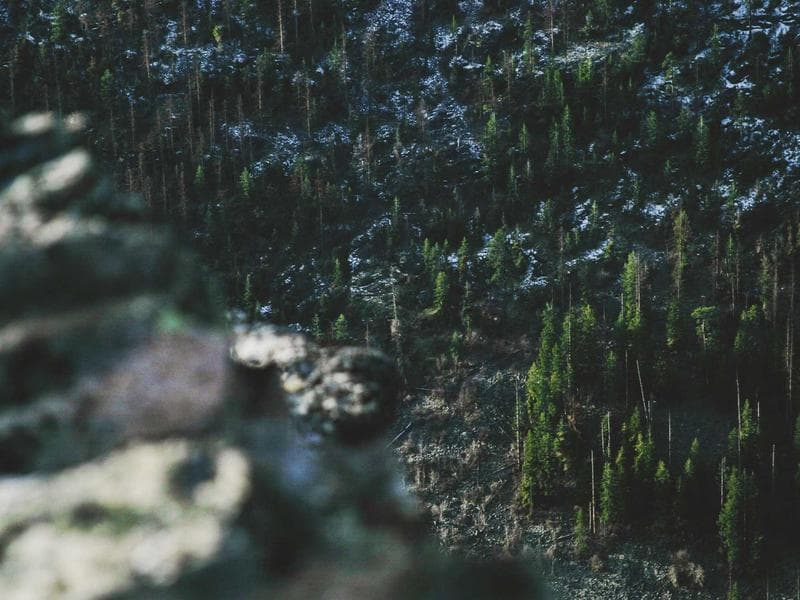 Quality Language Exchange #643