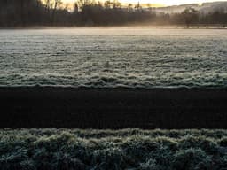 High-End 1BHK Furnished #653 - image 2