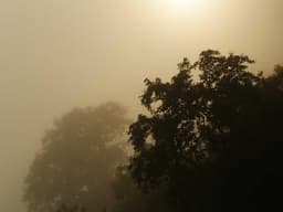 UI/UX Designer — Hybrid #81 - image 2