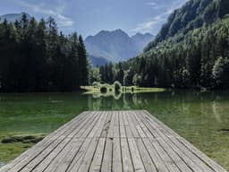 Elegant Electrician #704 - image 1