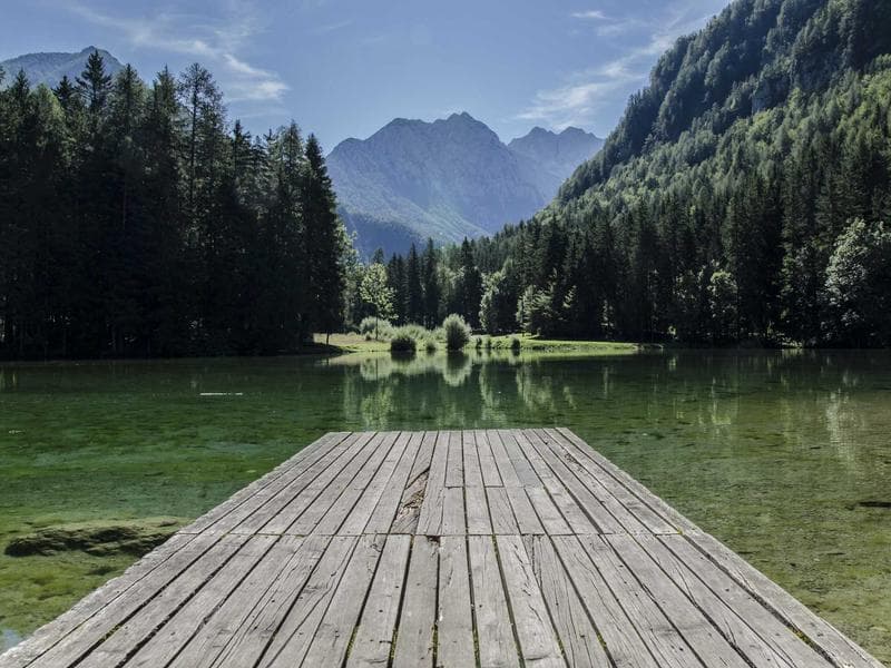 Elegant Electrician #704