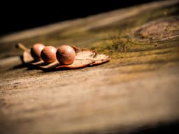 Original Product Manager #726 - image 2