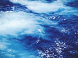 Entry-Level Blender #752 - image 2