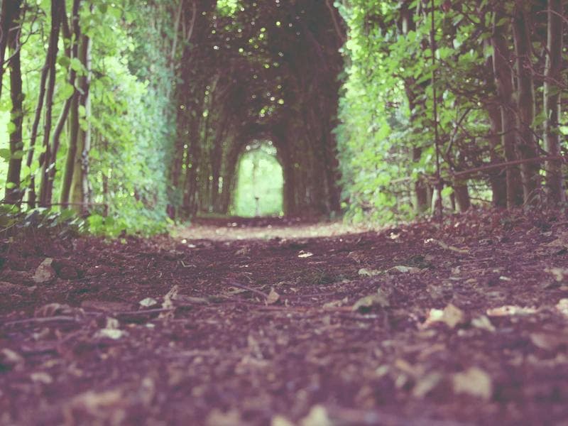 Security Guard — Day/Night Shifts #89