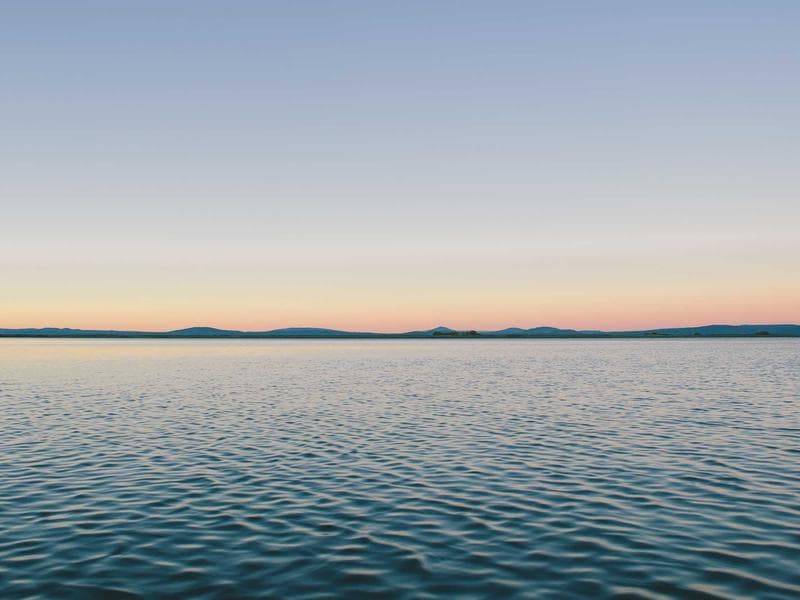 Elegant Catering #794