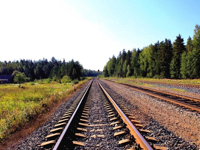 Data Entry — 500 Records #93