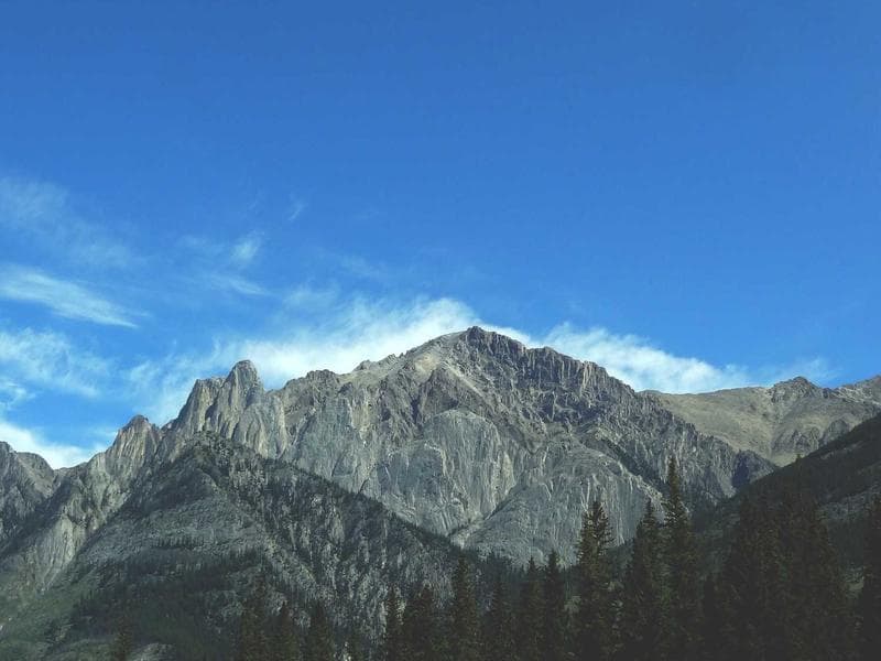 Premium Interior Design #817