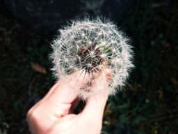 Top-Rated Driver #829 - image 1