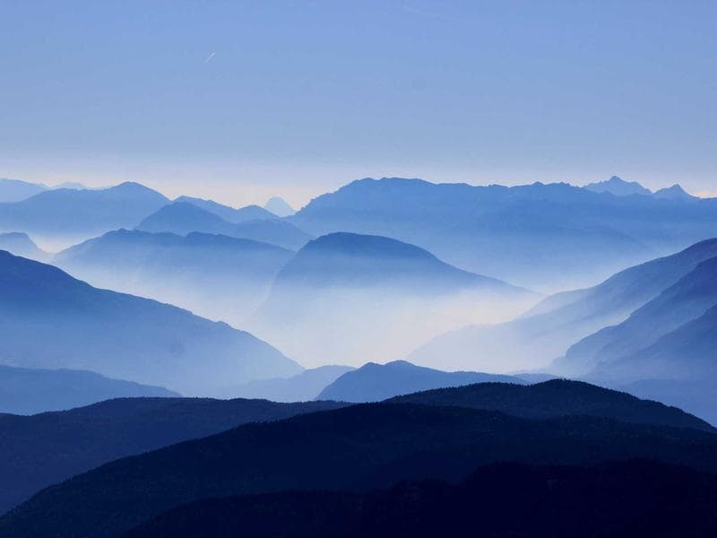 Antique Oak Bookshelf — Victorian #95