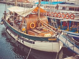 Brand New Data Analyst #837 - image 1