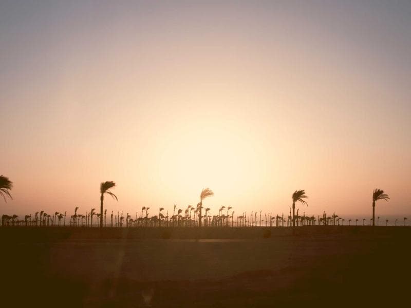 Durable Bookshelf #838