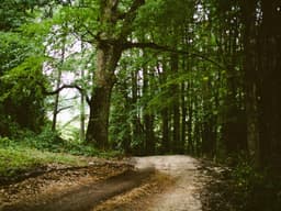 Classic Washing Machine #858 - image 2