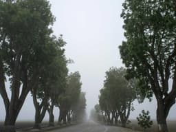 Excellent Beach House #860 - image 2