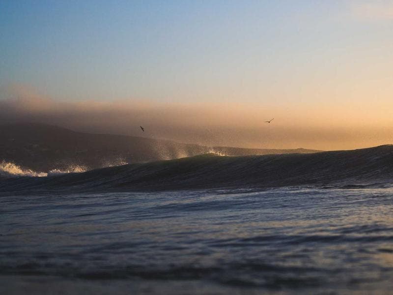 Refurbished Rug 8x10 #867