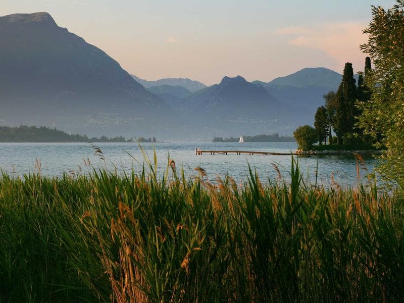 Catering — All Occasions #99